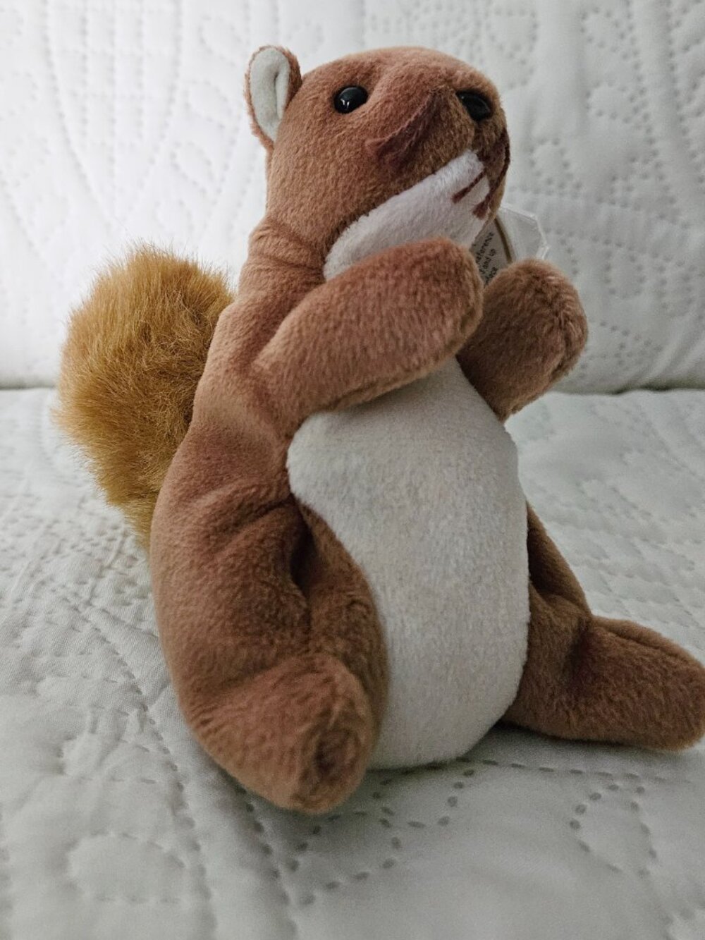 Ty Beanie Babies, Nuts the Squirrel (Retired, 1996). NEW